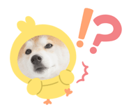 742178771
