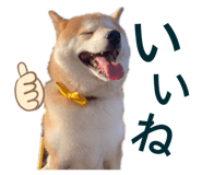 742178777