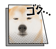742178778