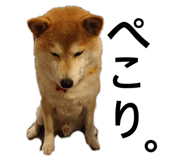 742178779