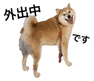 742178780