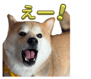 742178787