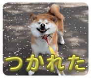 742178789