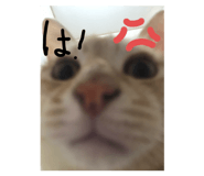 742192162