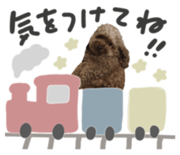 742199579