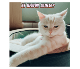 742205136