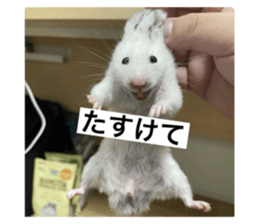 742207711