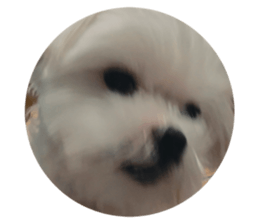 742227888