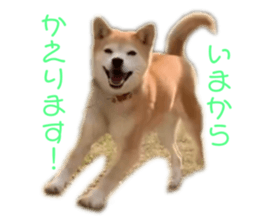 742239637
