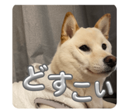 742241497
