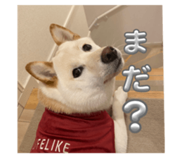 742241498
