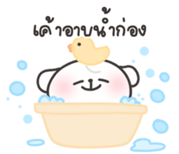 ลายที่ 43