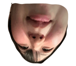 742267036