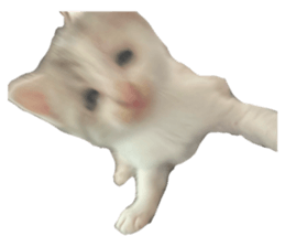 742275689