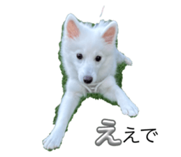 742275828