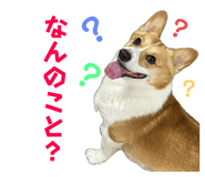 742307796