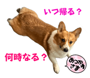 742307798