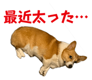 742307799