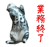 742307800