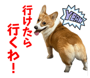742307805
