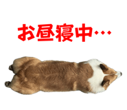 742307809