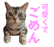 742307810