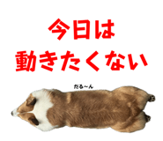 742307812