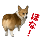 742307816