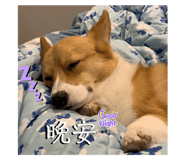 742308618