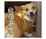 742308620