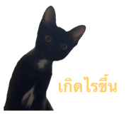 742325674