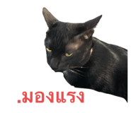 742325675
