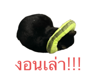 742325678