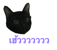 742325679