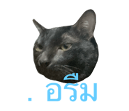 742325680