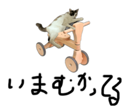 742327489