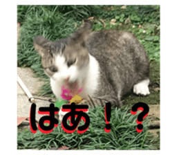 742328648