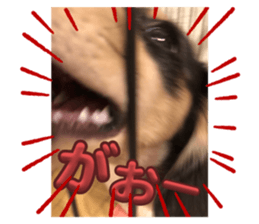 742330927