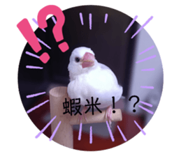 742332385