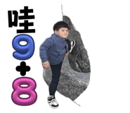 742333381