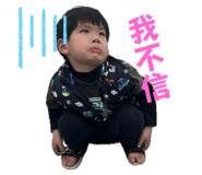 742333385