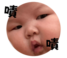 742333686