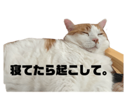 742345044