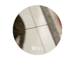 742346944