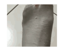 742348007
