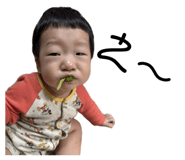 742366688