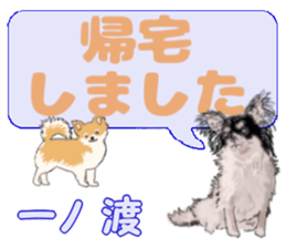 742373462