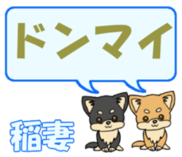 742373795