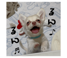 742383028