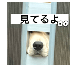 742387383